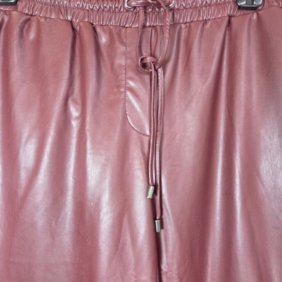 Cleo Burgundy Pleather Pants Size L - Picture 4 of 5